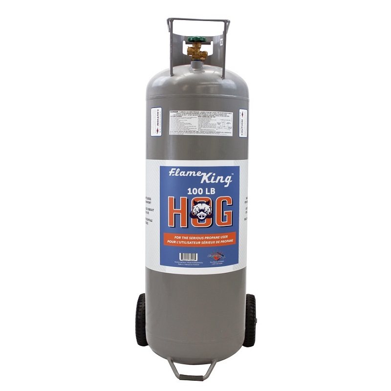Flame King 30LB Empty Steel Propane Tank LP Cylinder with Type 1