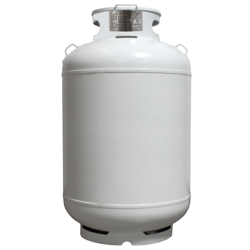 Flame King 30LB Empty LP Cylinder with Type1 OPD Valve Steel Propane Tank  in the Propane Tanks & Accessories department at